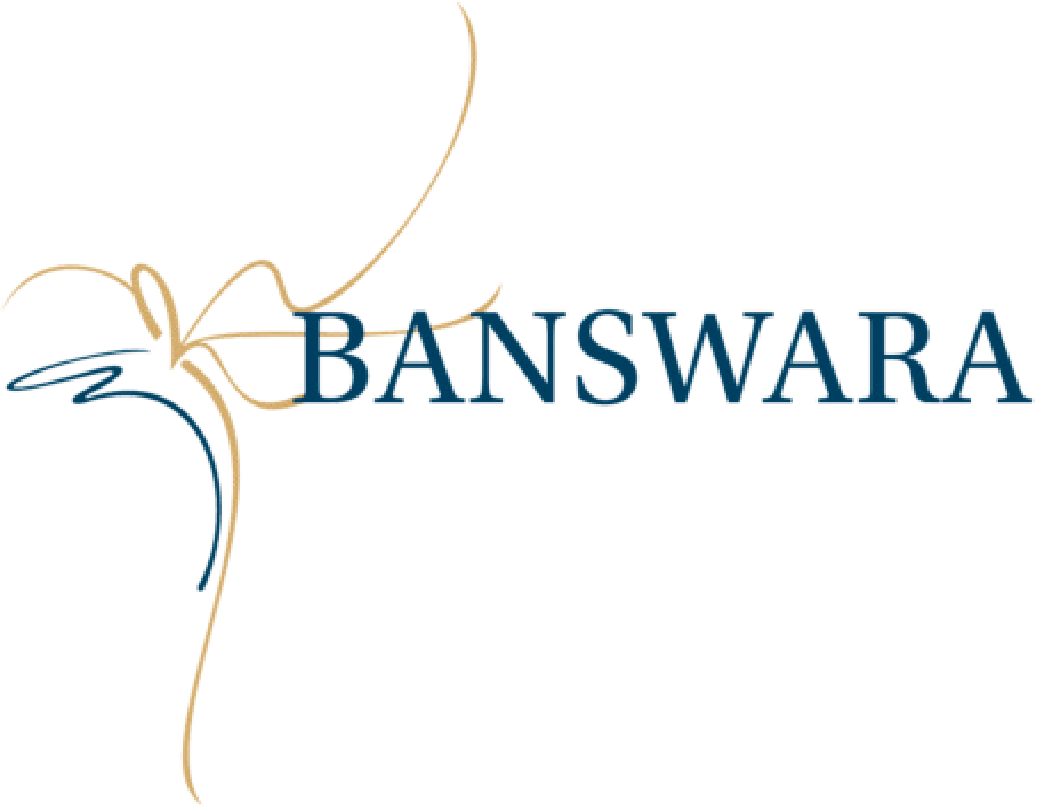 Banswara Syntex